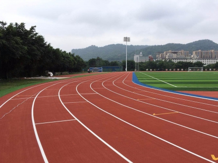 PU跑道及運(yùn)動場地坪